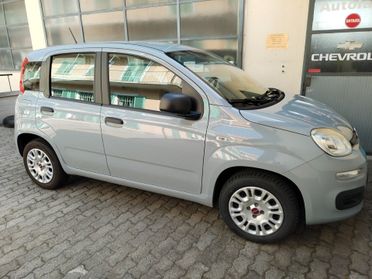 Fiat Panda 1.2 Easy - 11/2020
