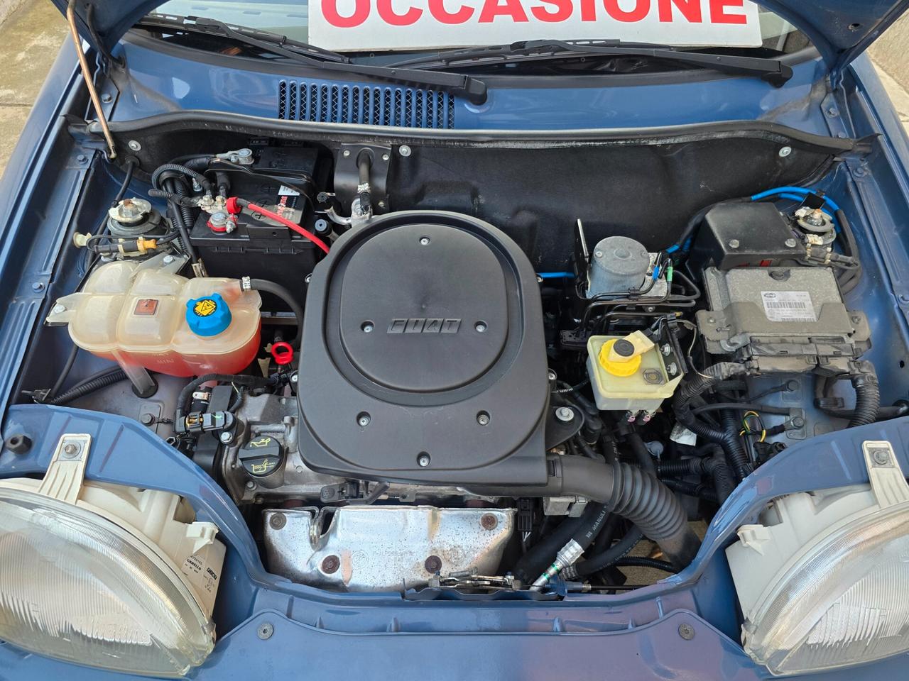 Fiat 600 1.1 50th Anniversary