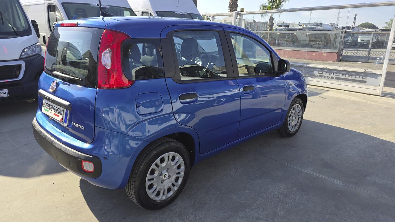 Fiat Panda 1.0 FireFly S&S Hybrid Pandina