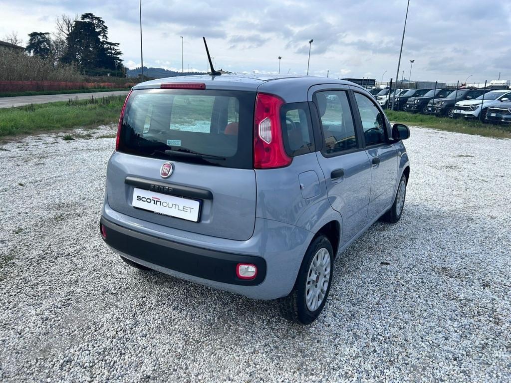 FIAT Panda III 2016 - Panda 1.2 Easy s&s 69cv my19