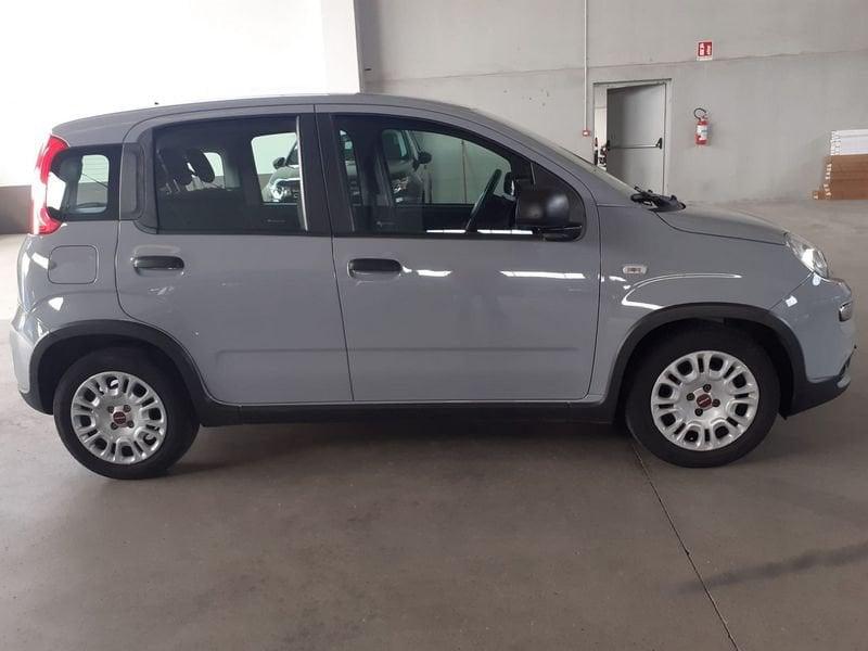 FIAT Panda Panda 1.0 FireFly S&S Hybrid City Life