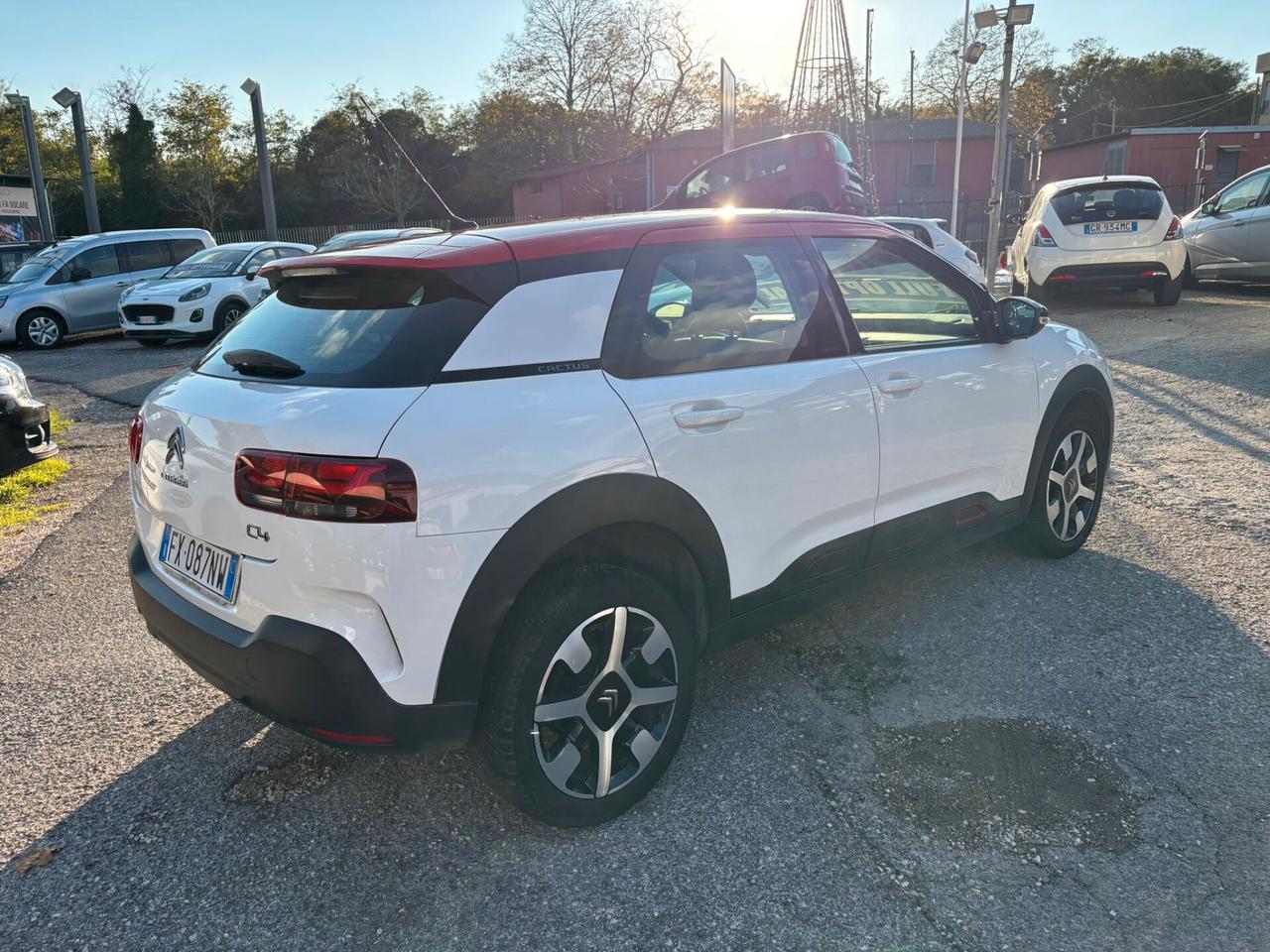 Citroen C4 Cactus BlueHDi 100 S&S Shine