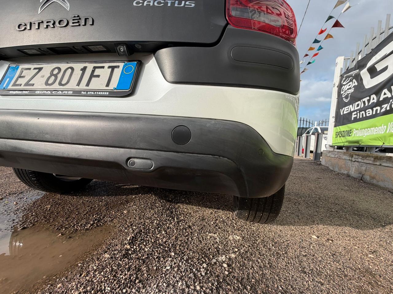 Citroen C4 Cactus BlueHDi 100 S&S Shine