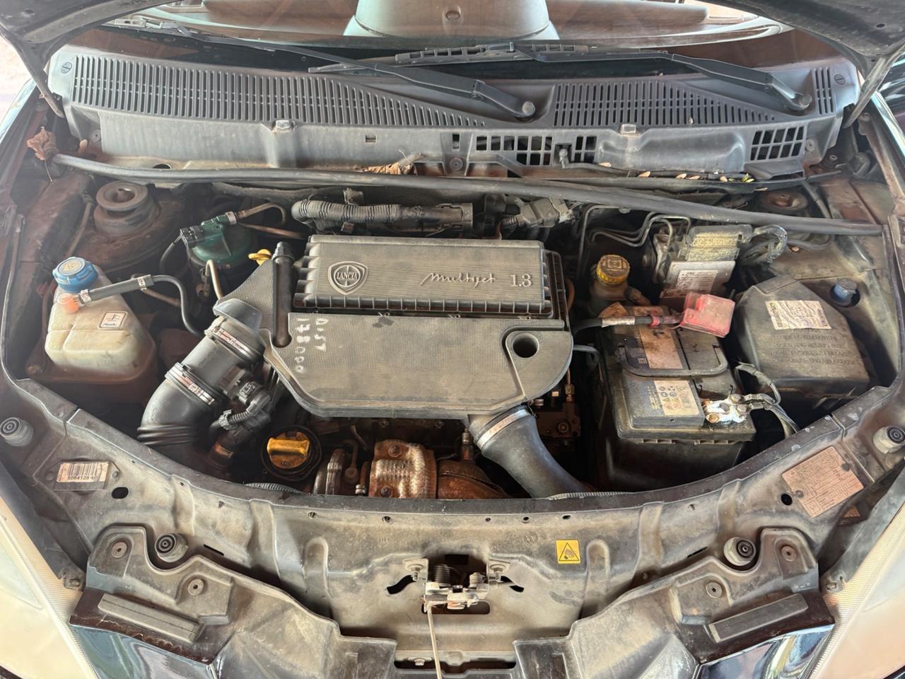 Lancia Ypsilon 1.3 Diesel - Neopatentati