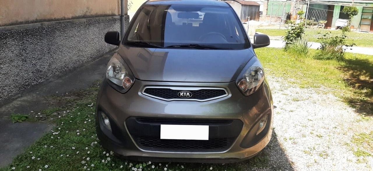 Kia Picanto 1.0 12V Glam (SOLO 50.00km)