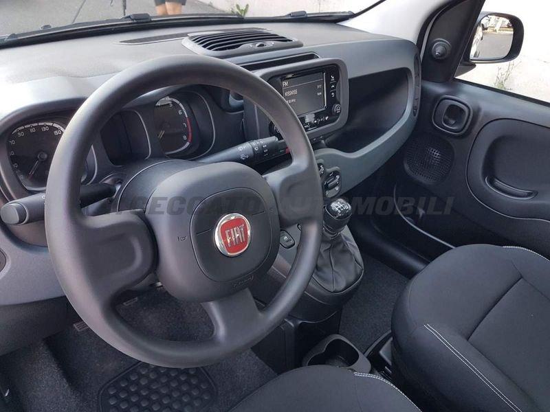 FIAT Panda Panda 1.0 firefly hybrid s&s 70cv
