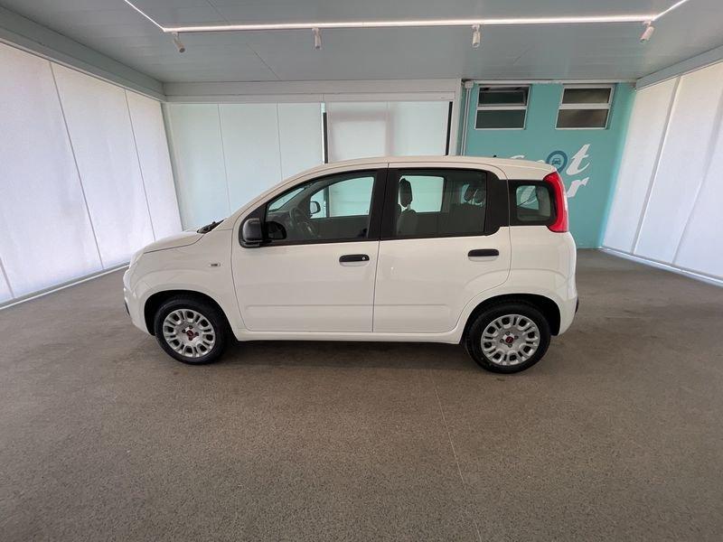 FIAT Panda 1.2 69cv S&S E6d-Temp Easy