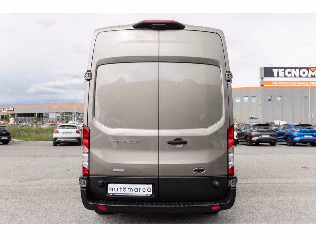 FORD Transit 350 2.0TDCi EcoBlue MHEV 170CV PL-TM Furgone Trend del 2020