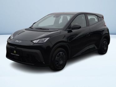 BYD Dolphin Surf Active