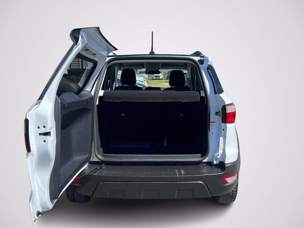 FORD EcoSport 1.0 EcoBoost 125 CV Start&Stop Active del 2022