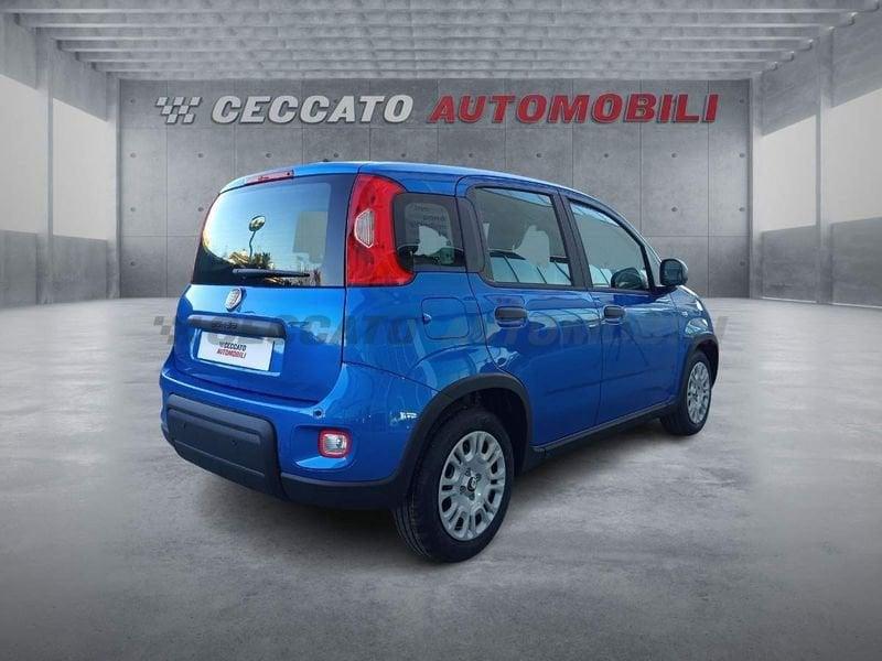 FIAT Panda Panda 1.0 70cv Hybrid Panda