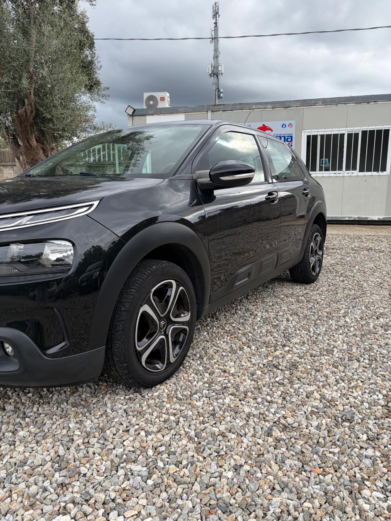 Citroen C4 Cactus BlueHDi 100 S&S Shine Pack