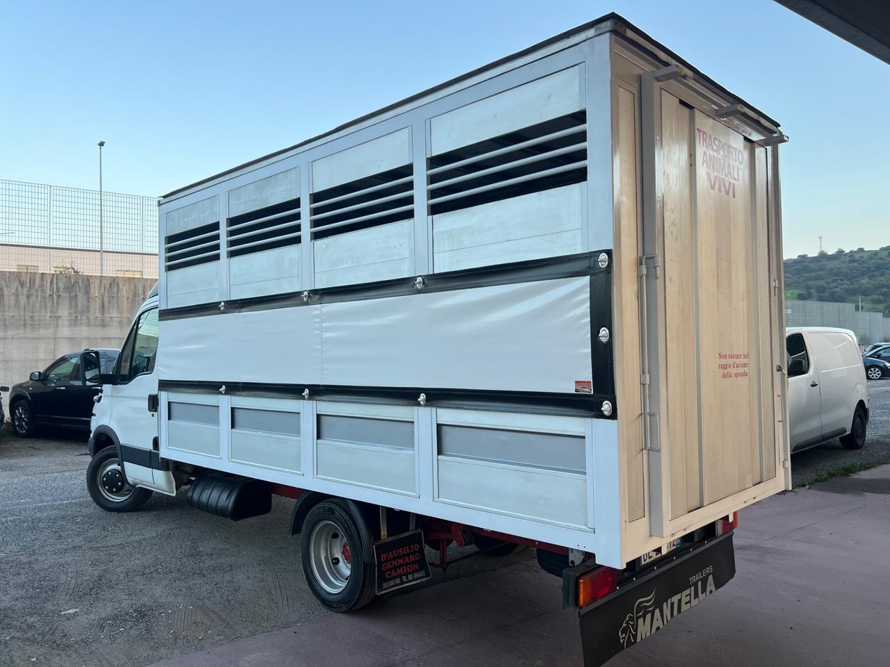 Iveco Daily 35c13 trasporto animali patente B
