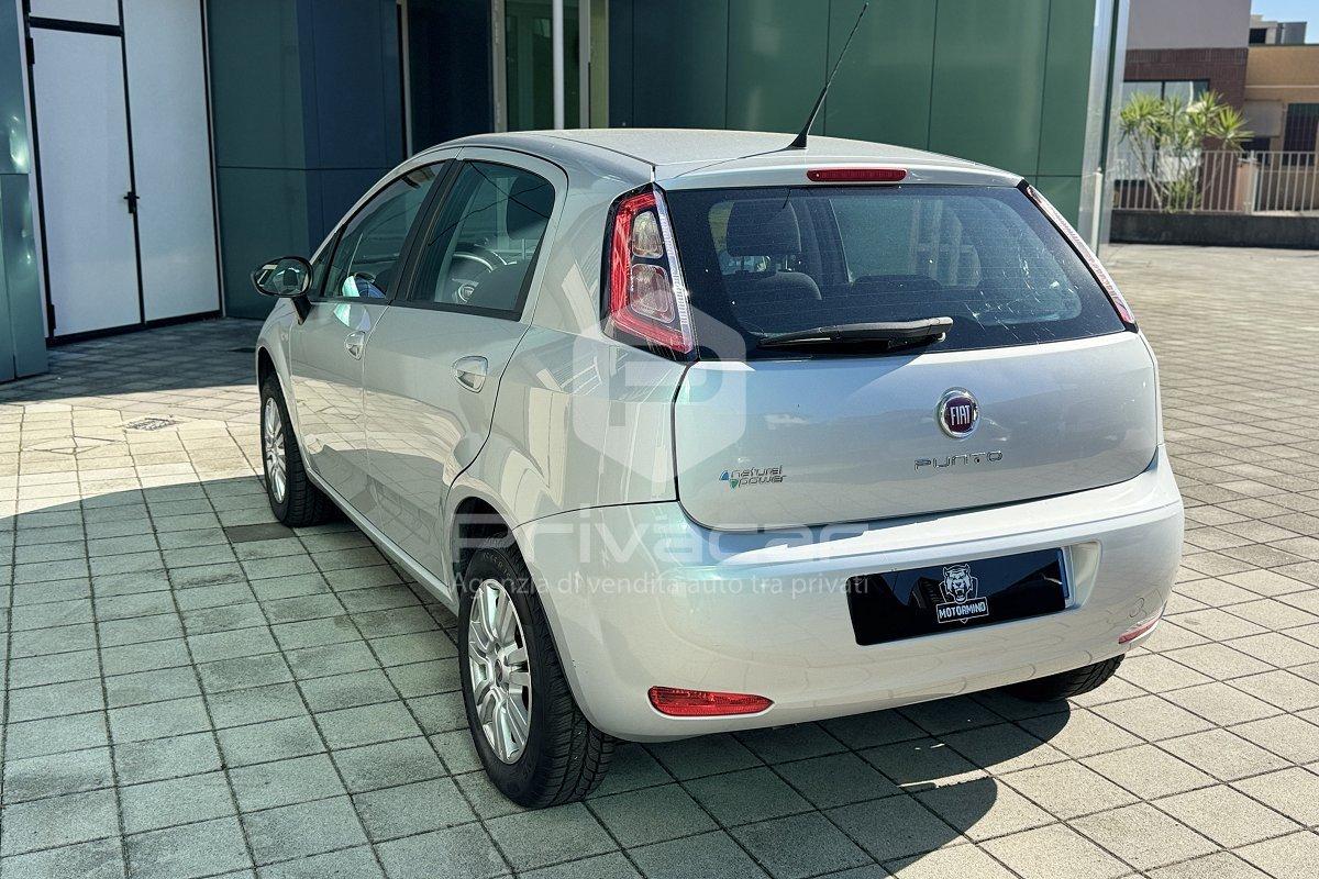 FIAT Punto 1.4 8V 5 porte Natural Power Young