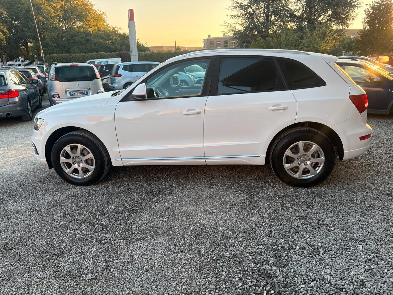 Audi Q5 2.0 TDI 177CV quattro S tronic -Perfetta!