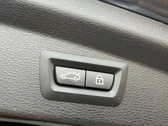 BMW X2 sDrive20d Msport-X (FULL OPTIONAL)