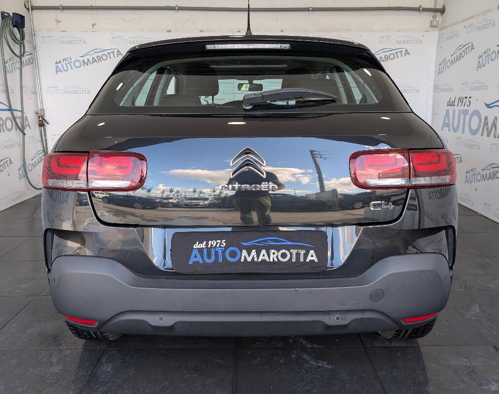 Citroen C4 Cactus 1.5 bluehdi Shine s&s 100cv