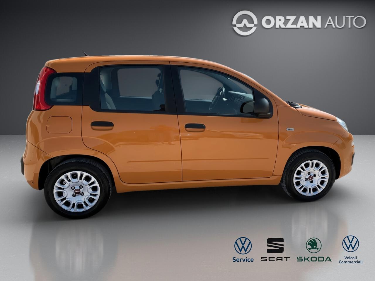 Fiat Panda 1.2 Easy VENDITE 3491558563 - 3478673115