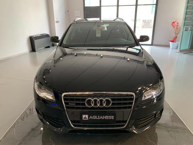 AUDI A4 Avant 2.0 TDI 170CV F.AP. Quattro Advanced