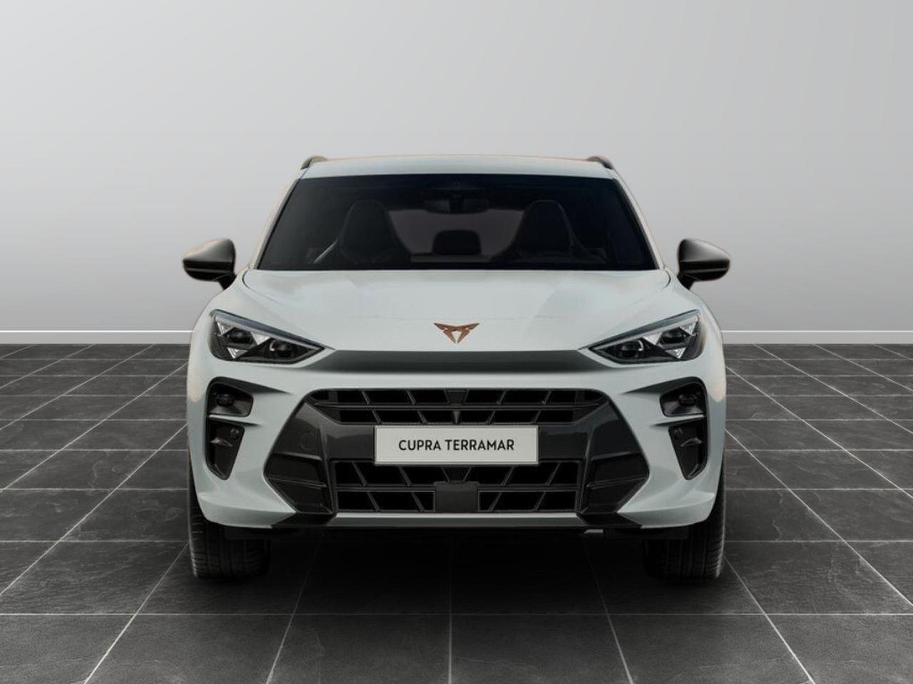 Cupra Terramar 1.5 e-hybrid 204cv impulse dsg