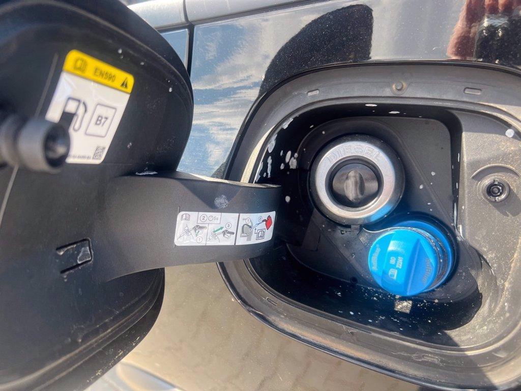 FORD Focus 1.5 EcoBlue 120 CV automatico SW Active X del 2022