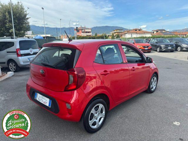 KIA Picanto 1.0 12V 5 porte Cool - PER NEOPATENTATO -