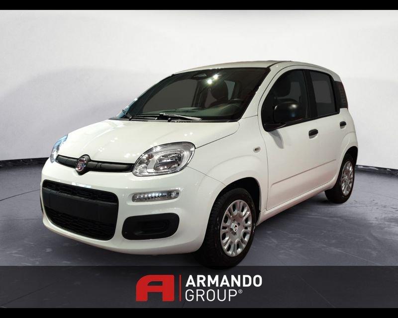 FIAT Panda 3ª serie 1.0 FireFly S&S Hybrid Icon