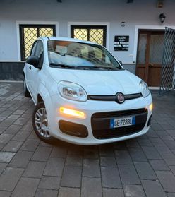 Fiat Panda 1.2 benzina 69cv Easy S&S