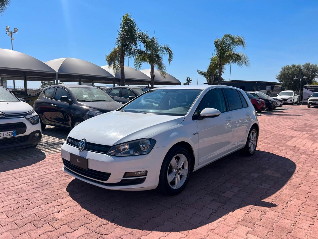 Volkswagen Golf 1.4 TGI DSG 5p. Executive 4 Free BlueMotion