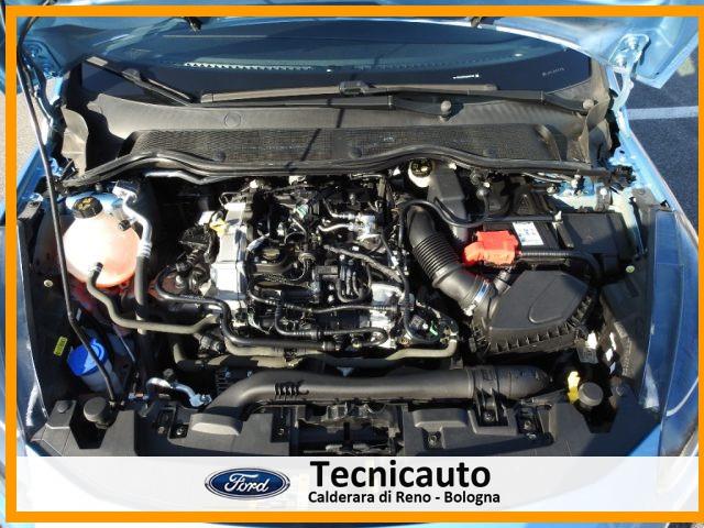 FORD Fiesta 1.0 Ecoboost Hybrid 125 CV 5 porte Active