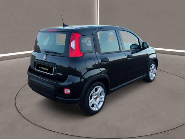 FIAT Panda 3ª serie - 1.0 FireFly S&S Hybrid