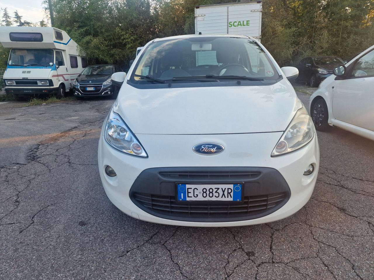 Ford Ka Ka+ 1.2 8V 69CV Titanium Business