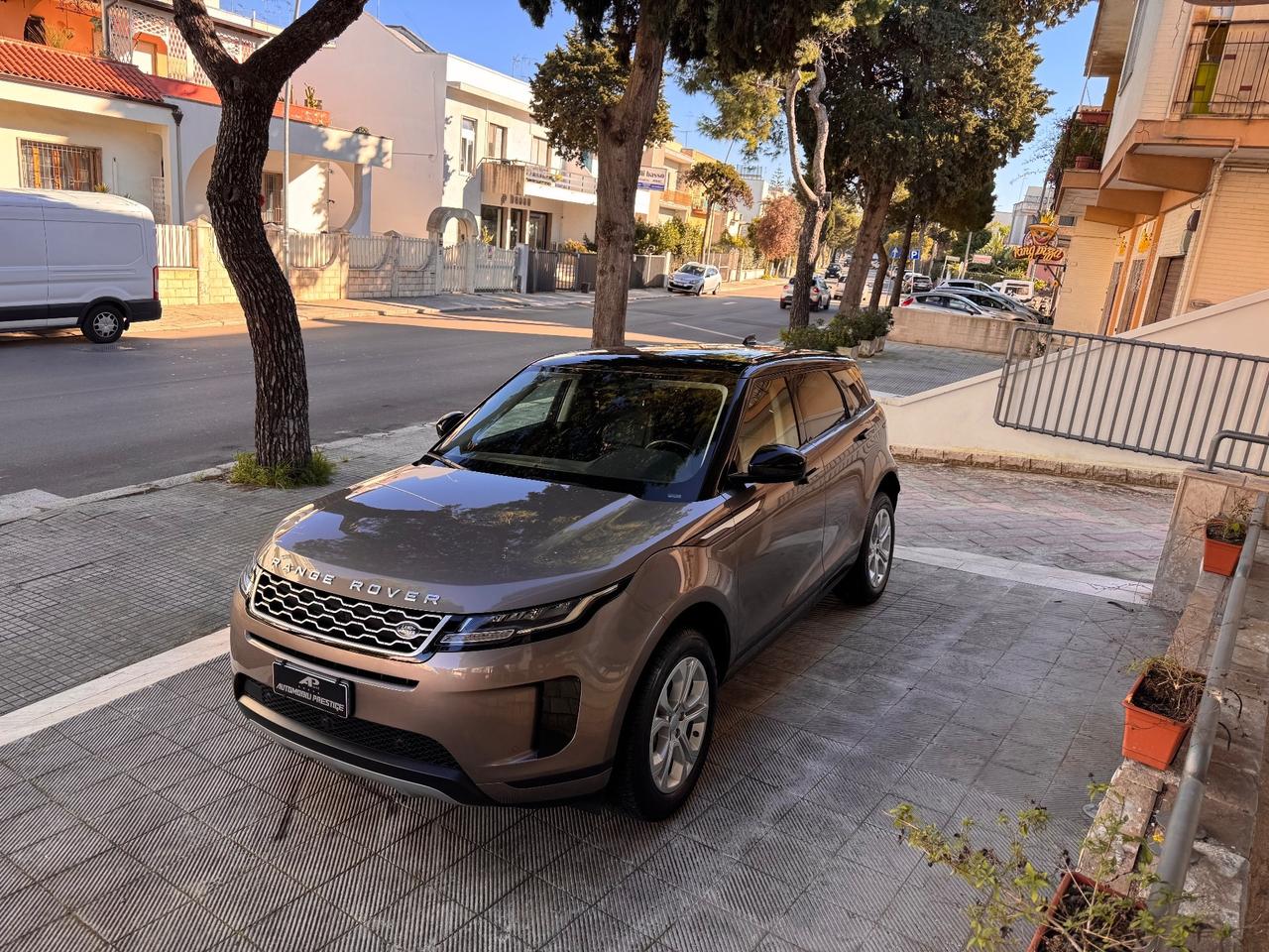 Land Rover Range Evoque 2.0D I4-L.Flw 150 CV AWD Auto SE