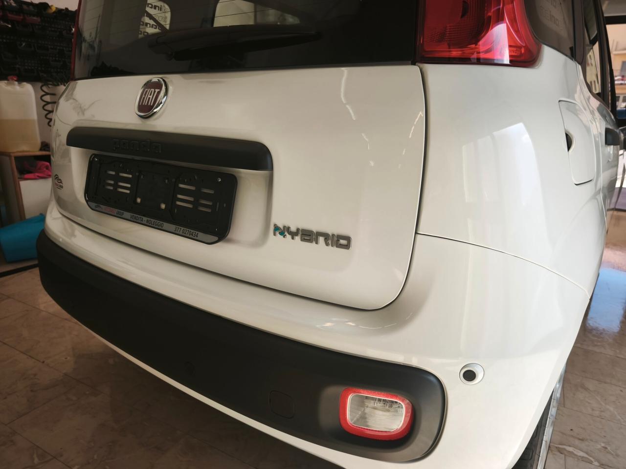 Fiat Panda Pandina 1.0 FireFly 65 CV Hybrid Icon
