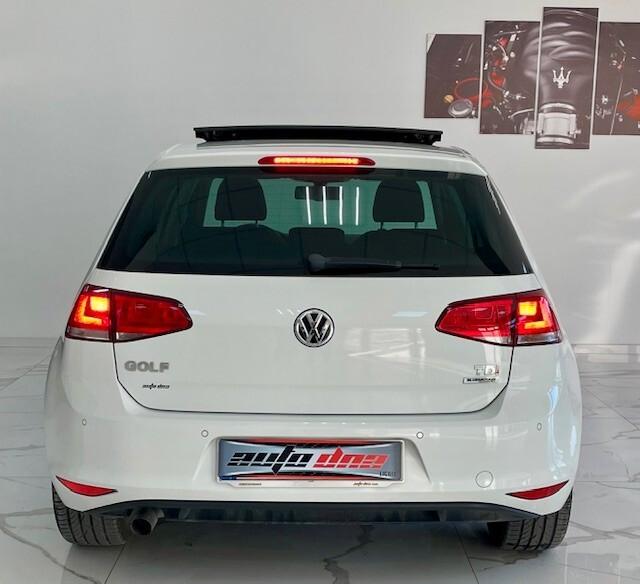 Volkswagen Golf 1.6 TDI 110 CV 5p. CUP Edition