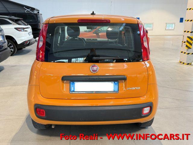FIAT Panda Hybrid 1.0 FireFly 70 cv - PROMO
