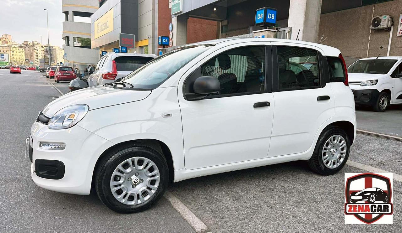 Fiat Panda 1.0 FireFly S&S Hybrid Pandina SOLO 1.900 KM SENZA VINCOLI DI FINANZIAMENTO