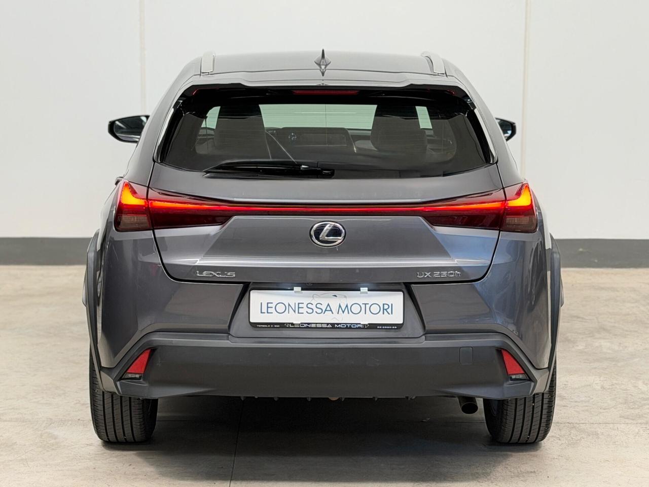 Lexus UX Hybrid Business