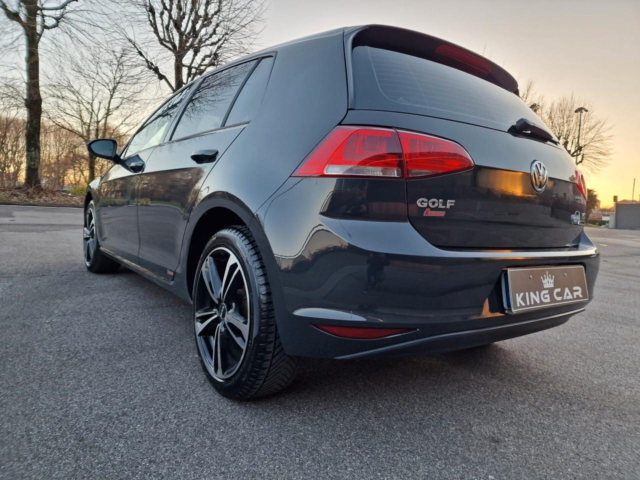 Volkswagen Golf 1.4 TGI 5p. Trendline BlueMotion