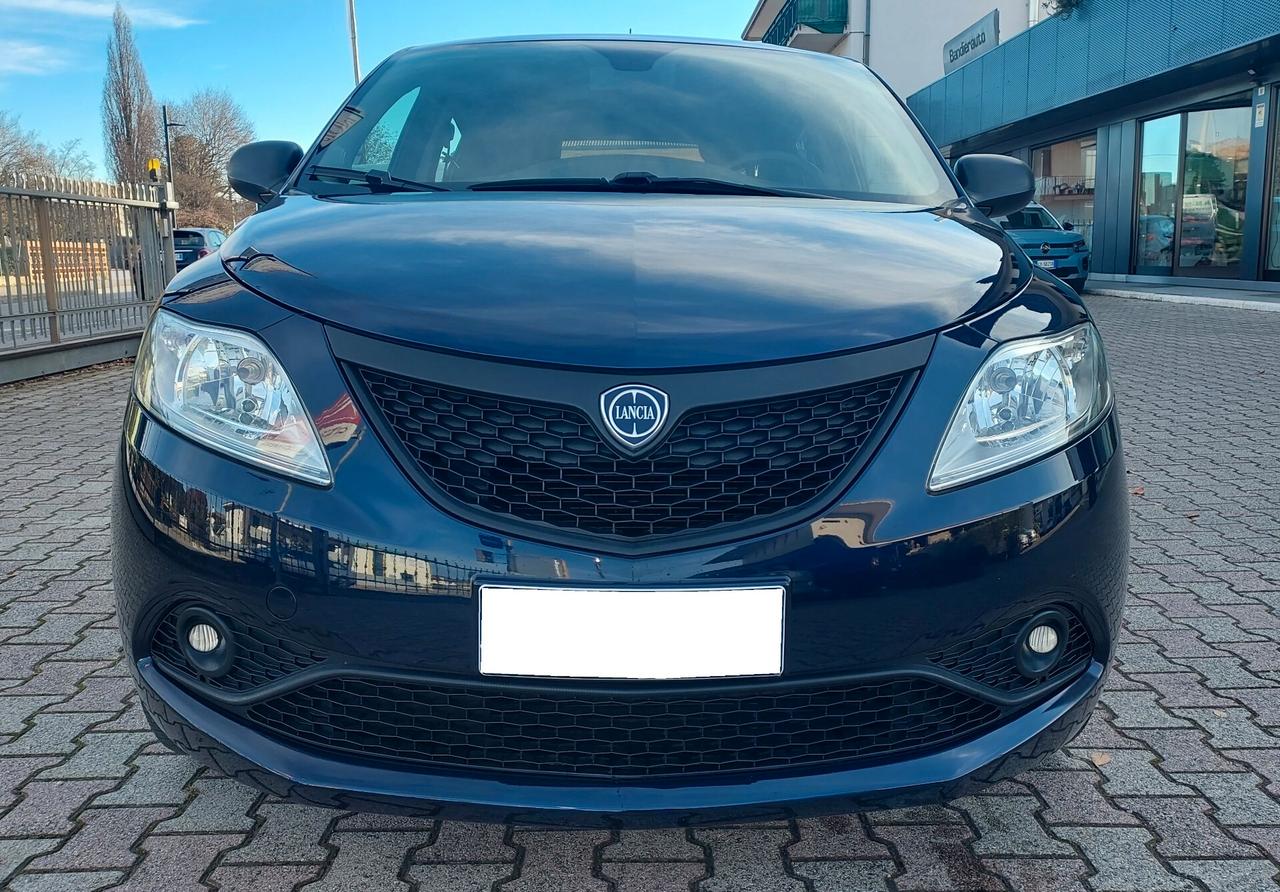 Lancia Ypsilon 1.2 69 CV 5 porte Elefantino Blu