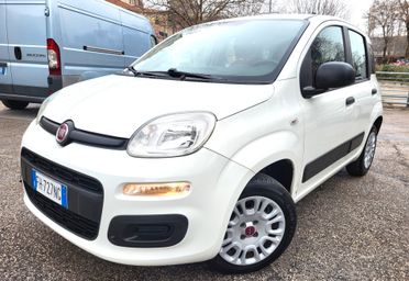 FIAT PANDA 1200-UNICA PROPRIET-FOTO 3 REVISIONI
