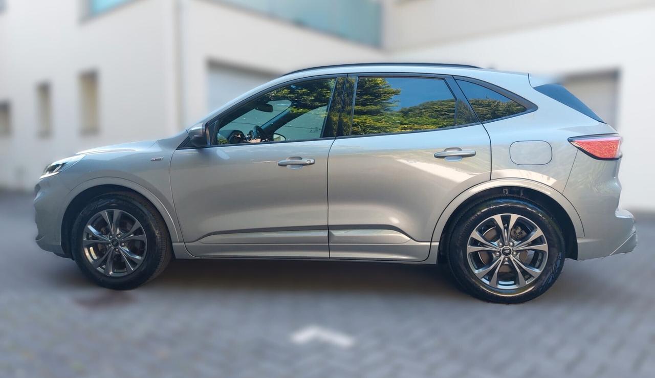 Ford Kuga 1.5 EcoBlue 120 CV 2WD ST-Line