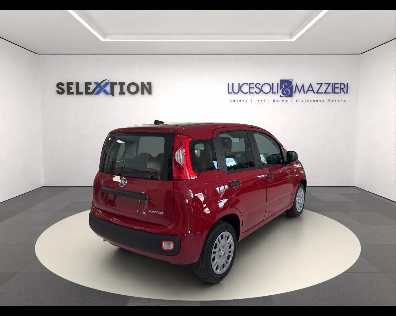 FIAT Panda 3ª serie - Panda 1.0 FireFly S&S Hybrid