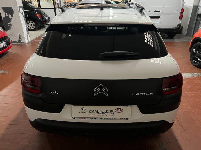 CITROEN C4 Cactus BlueHDi 100 Shine GARANZIA 24 MESI