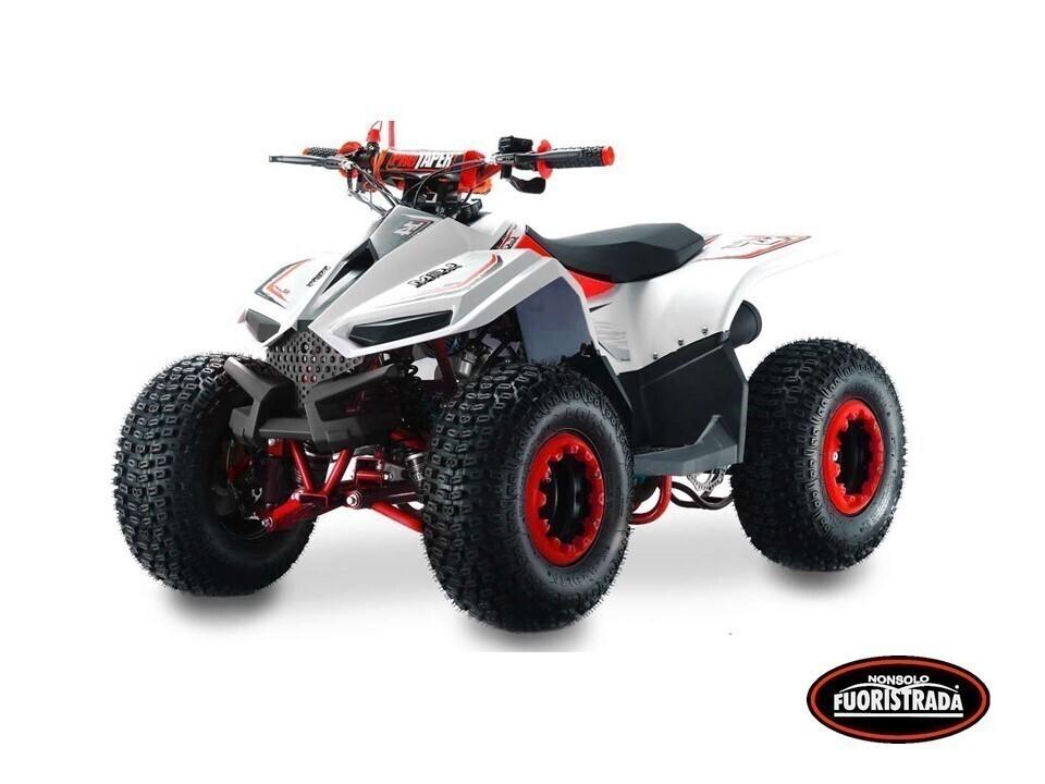 Lem Motor Quad, Grizzly 110cc