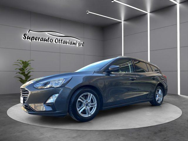FORD Focus 1.5 EcoBlue 120 CV SW Business N1 5 posti