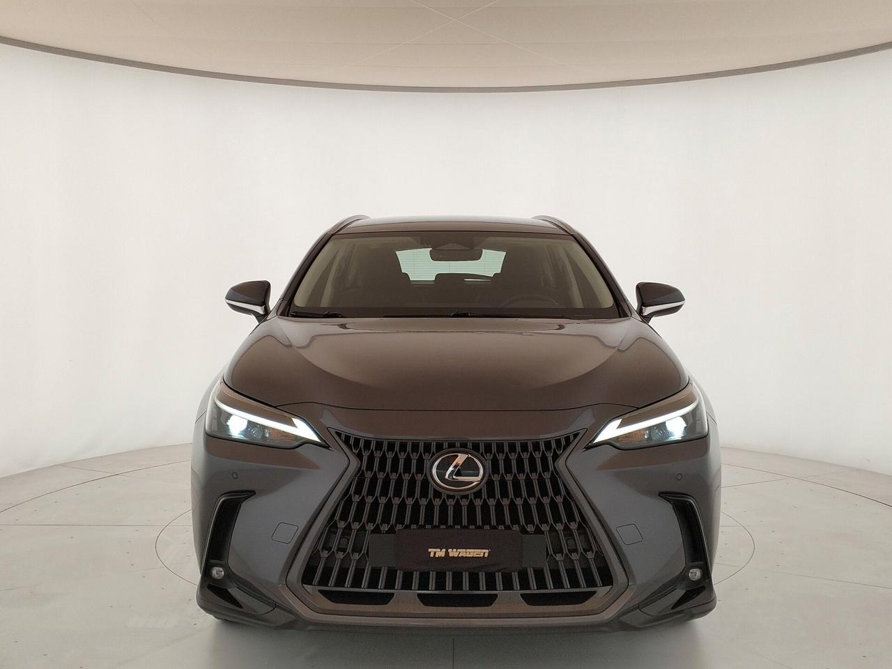 LEXUS NX 350h 2.5 Business e-cvt - IVA ESPOSTA