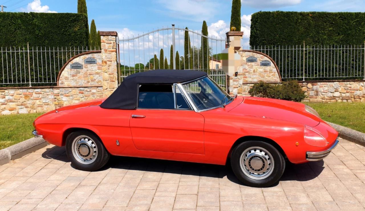 Alfa Romeo Spider Duetto osso di seppia 1750