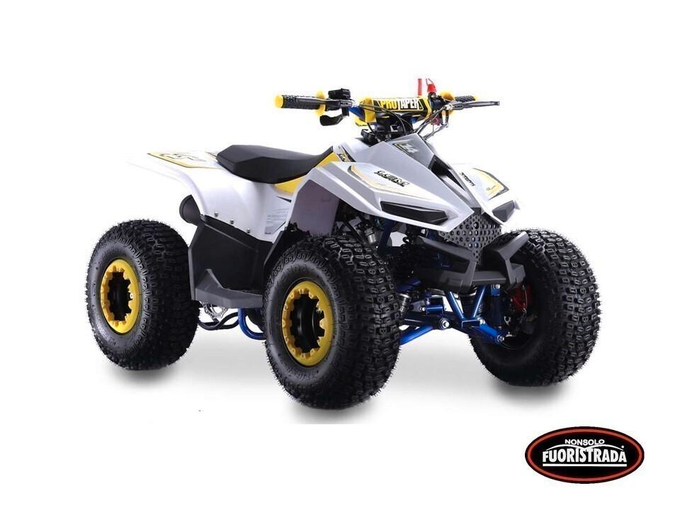 Lem Motor Quad, Grizzly 110cc