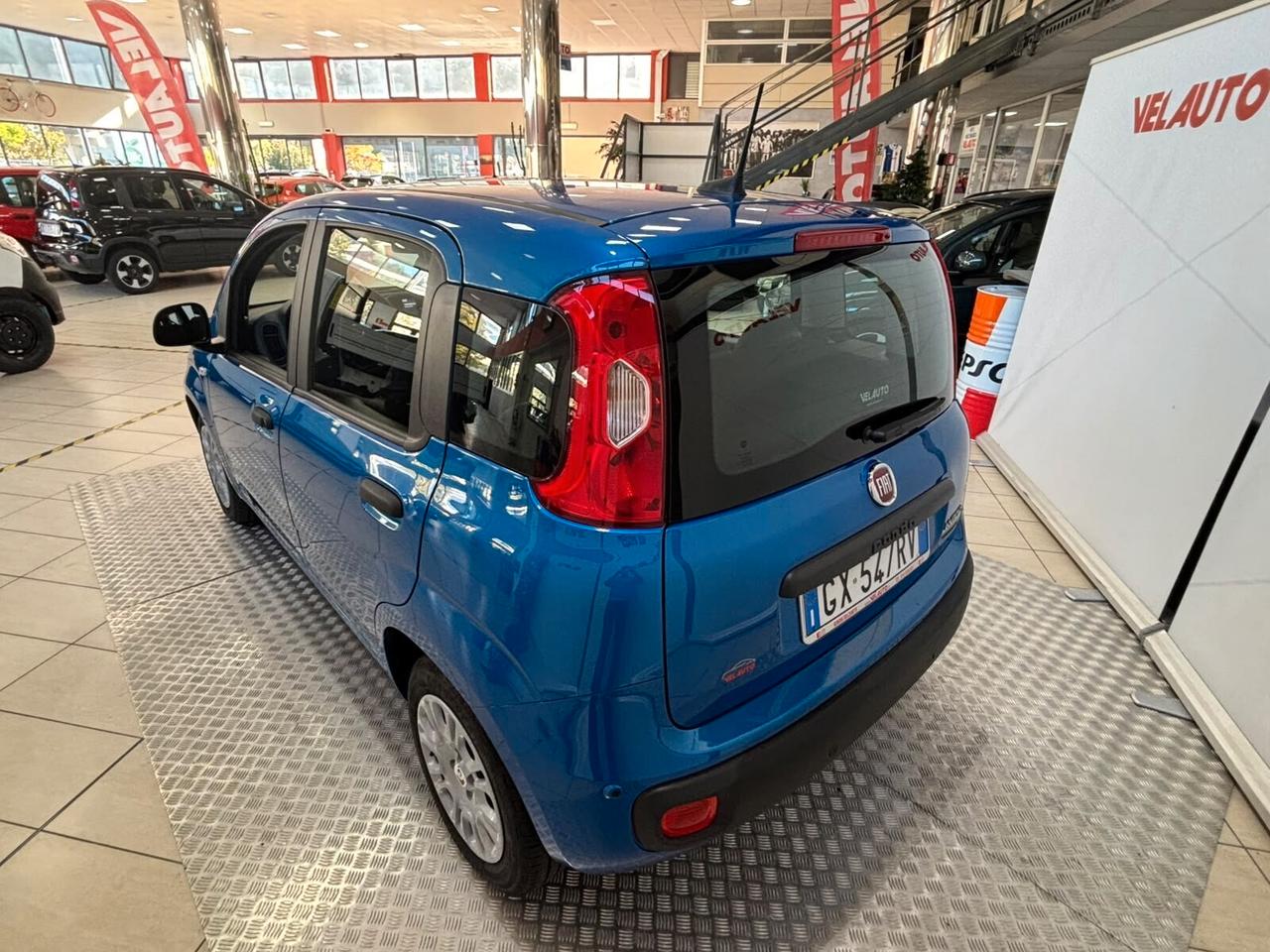Fiat Panda 1.0 FireFly S&S Hybrid Pandina Icon